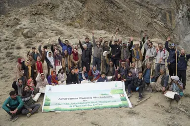 Large Forestation Drive