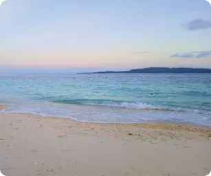 Image by  srusmiati@wcs.org (Susi)/ drahmawati@wcs.org (Ditta)/ sfadela@wcs.org (Sheyka)