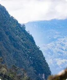 Image by afanaso@wcs.org