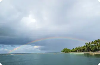 Image by  srusmiati@wcs.org (Susi)/ drahmawati@wcs.org (Ditta)/ sfadela@wcs.org (Sheyka)