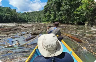 Image by wcsmalaysia@wcs.org