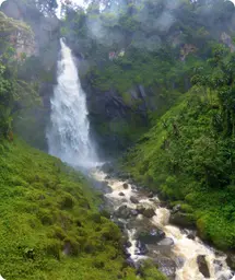 Image by ddetoeuf@wcs.org