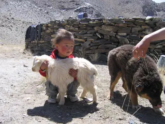 child livestock little girl holding goat 3 Shawna.jpg