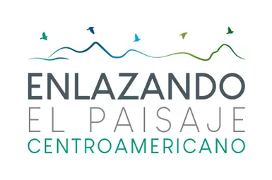 ENLANZADO_ISOLOGOTIPO_COLOR_1.jpg