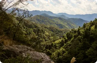 Image by bswanepoel@wcs.com