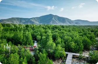 Image by Contact : starigan@wcs.org (Sukma)/ drahmawati@wcs.org (Ditta)/ rrimayanti@wcs.org (Ratih)