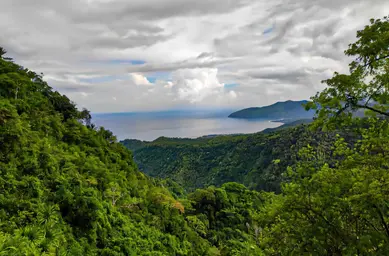 View From the Moya Forest Highlands