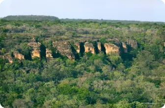 Image by Photo © Antonio Bóveda/WCS.