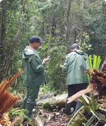 Image by akirkby@wcs.org