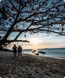 Image by Contact : starigan@wcs.org (Sukma)/ drahmawati@wcs.org (Ditta)/ rrimayanti@wcs.org (Ratih)