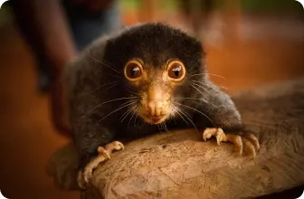 Image by lolamya@hotmail.com