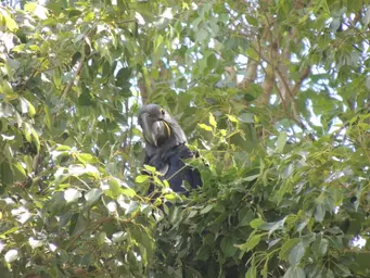 2ºF N 2254 pós resgate_F.Fontoura (1).JPG